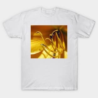 Daylily Delight. T-Shirt